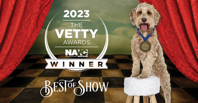 S&A won 2024 Vettys Best of Show 